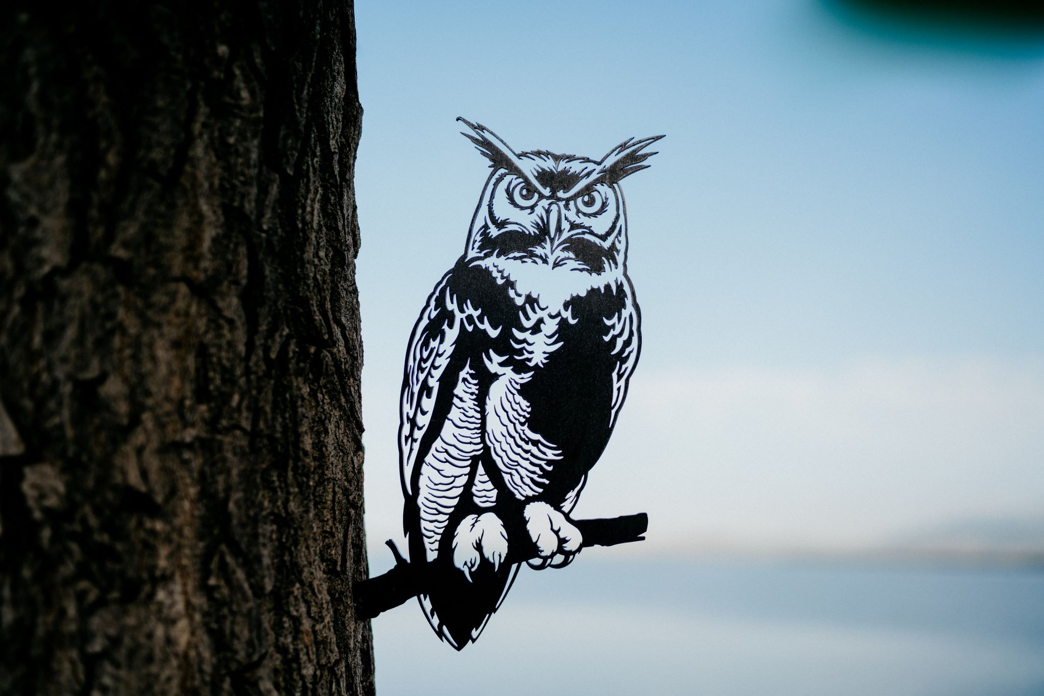 Great Horned Owl