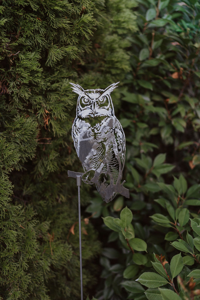 Great Horned Owl